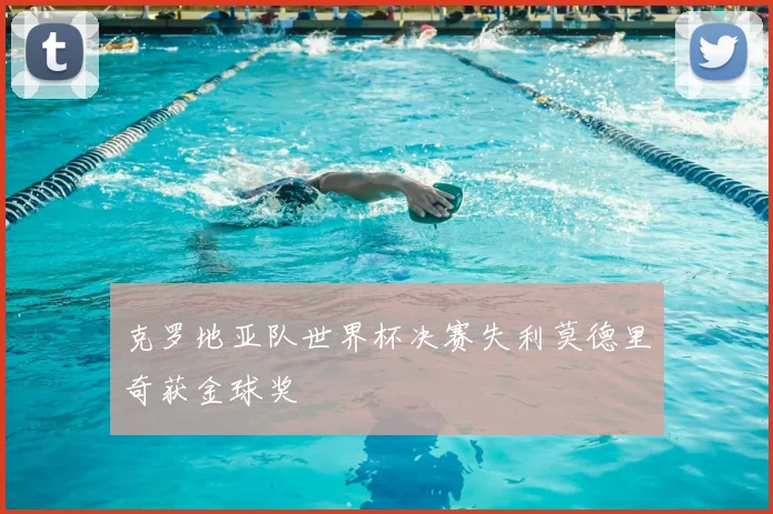 克罗地亚队世界杯决赛失利莫德里奇获金球奖