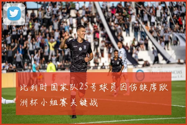 比利时国家队25号球员因伤缺席欧洲杯小组赛关键战