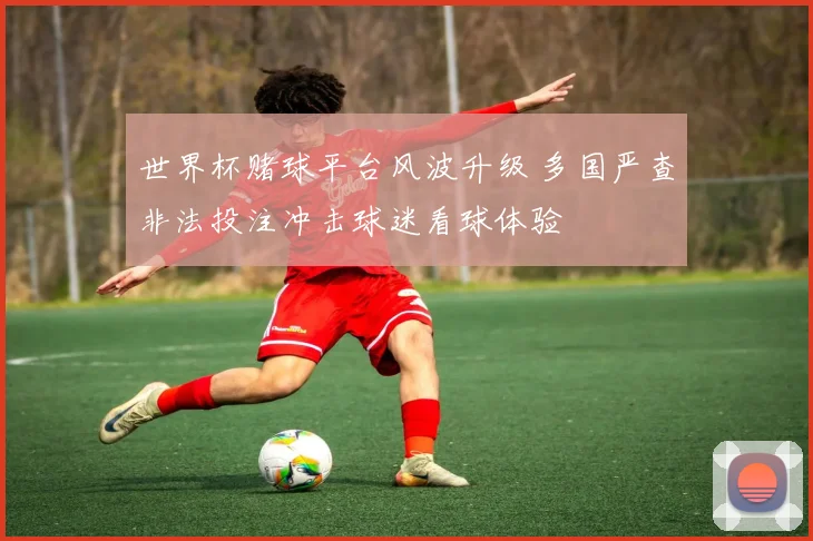 世界杯赌球平台风波升级 多国严查非法投注冲击球迷看球体验