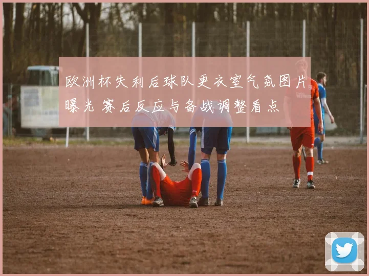 欧洲杯失利后球队更衣室气氛图片曝光 赛后反应与备战调整看点