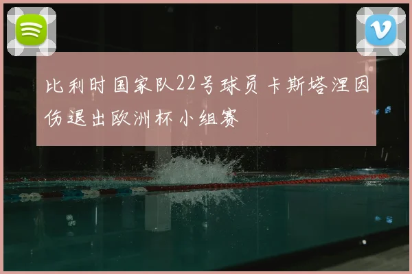 比利时国家队22号球员卡斯塔涅因伤退出欧洲杯小组赛