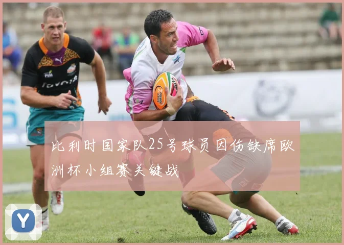 比利时国家队25号球员因伤缺席欧洲杯小组赛关键战