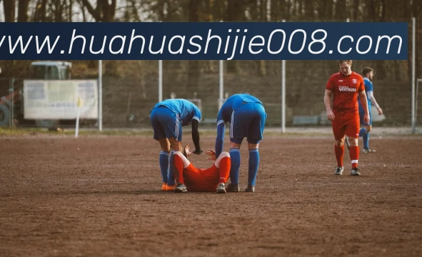 开云app官方版在线入口品牌故事