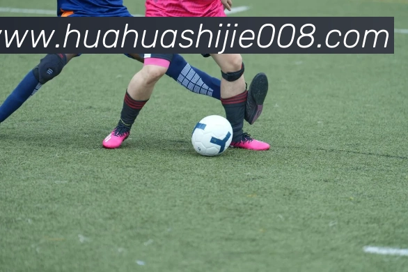 开云app官方版在线入口服务体系